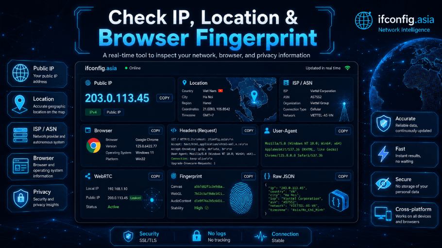 Public IP Checker